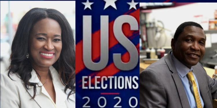 US Elections 2020 More Africans Win Seats