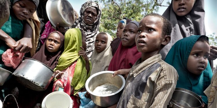 13 Million People Face Severe Hunger in Horn of Africa - UN