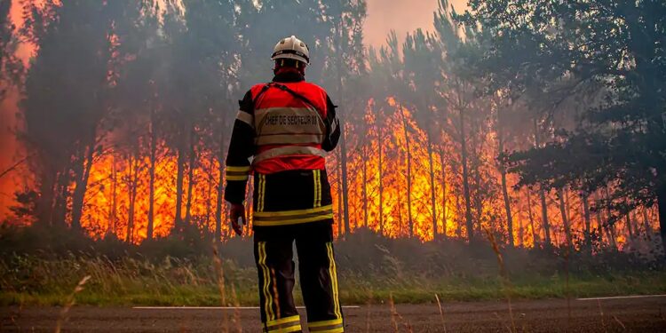 Firefighters Battle Huge Forest Blaze As Wildfires Rage Across Europe