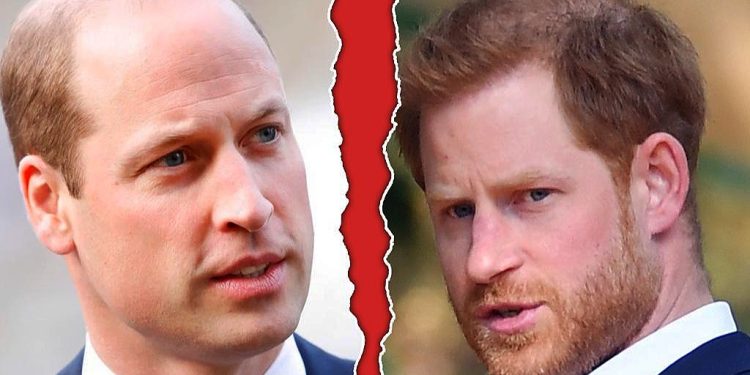 Prince Harry Accuses His Brother William Of Physical Attack In New Book