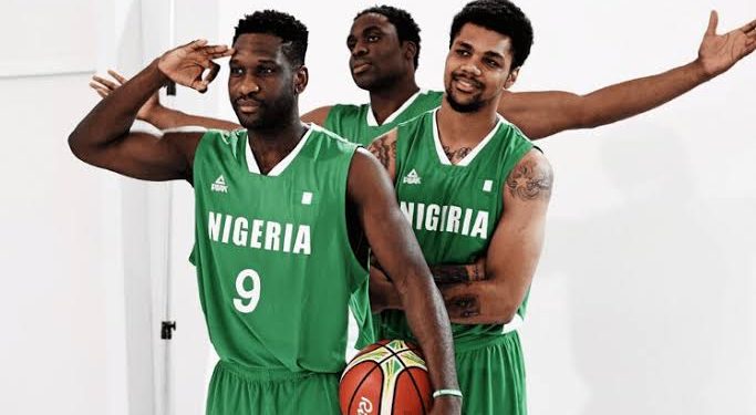 Nigeria's D'Tigers