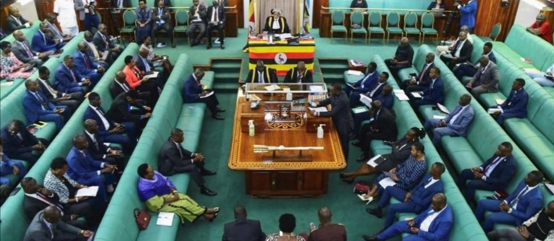 Uganda: Parliament Blocks Birth Control Pills Proposal For 15-Year-Old ...