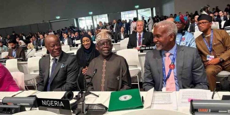 nigerians slam govts cop 28 team size cite waste of valuable resources