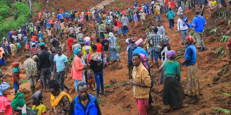 229 Dead As Devastating Landslides Strike Southern Ethiopia