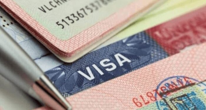 South Africa Launches 5-Year Multiple Entry Visas For Nigerian Business Professionals