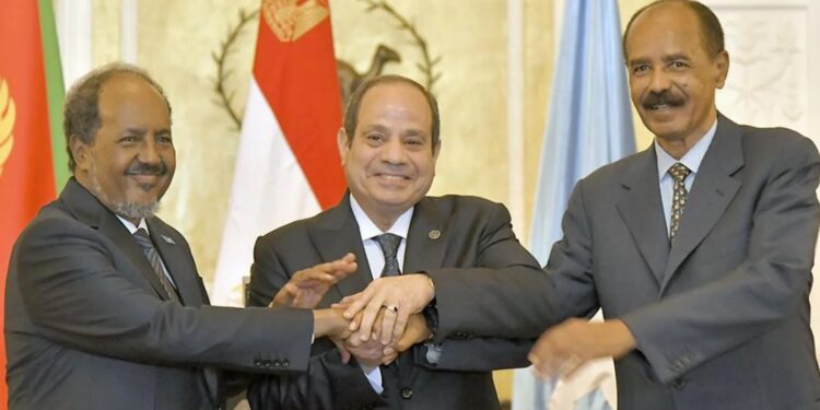 Eritrea, Egypt And Somalia Form United Front Against Ethiopia