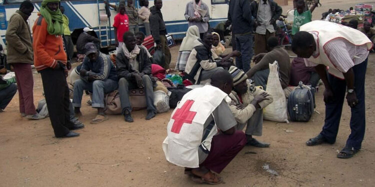 Niger Junta Expels Red Cross